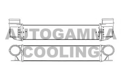 Интеркулер AUTOGAMMA купить