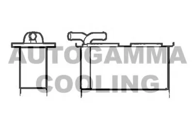 Интеркулер AUTOGAMMA купить