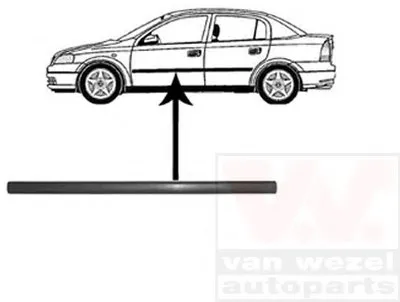 Облицовка / защитная накладка, дверь VAN WEZEL купить