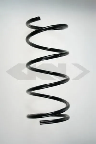 винтовая пружина SPIDAN купить