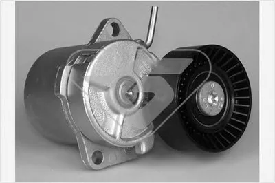 Натяжной ролик, поликлиновой  ремень HUTCHINSON купить