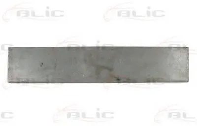 Задняя дверь BLIC купить