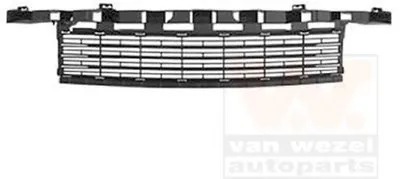 Решетка вентилятора, буфер VAN WEZEL купить