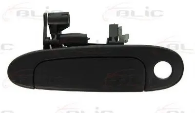 Ручка двери BLIC купить