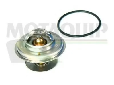 Термостат, охлаждающая жидкость MOTAQUIP купить