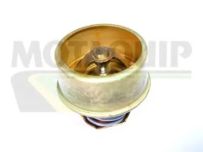 Термостат, охлаждающая жидкость MOTAQUIP купить