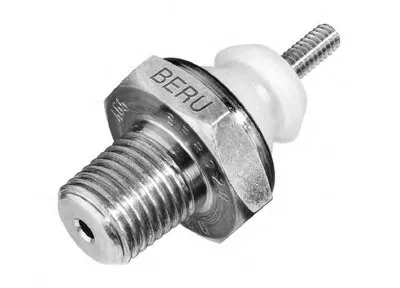 Выключатель с гидропроводом BERU купить