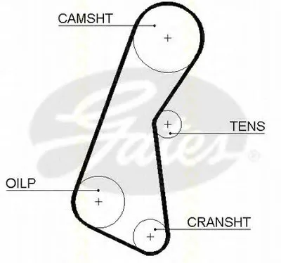 Ремень ГРМ TRISCAN купить