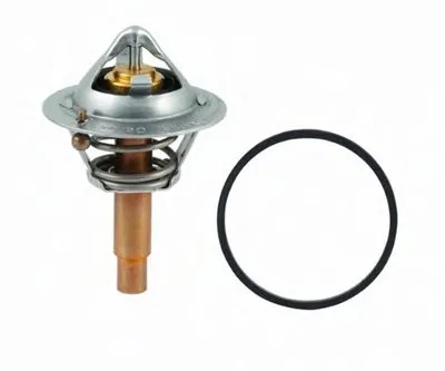 Термостат, охлаждающая жидкость HOFFER купить