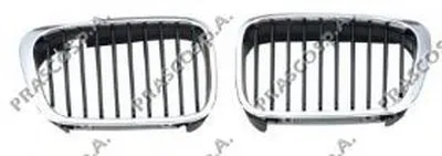 Решетка радиатора PRASCO купить