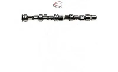 Распределительный вал CAMPRO купить