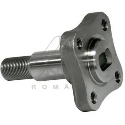 ? колесн. ступицы = ASAM купить