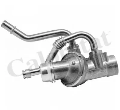 Термостат, охлаждающая жидкость CALORSTAT by Vernet купить