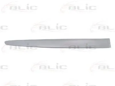 Облицовка / защитная накладка, дверь BLIC купить