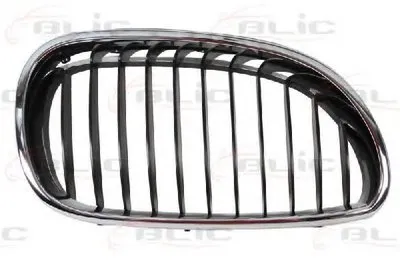 Решетка радиатора BLIC купить