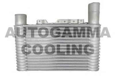 Интеркулер AUTOGAMMA купить