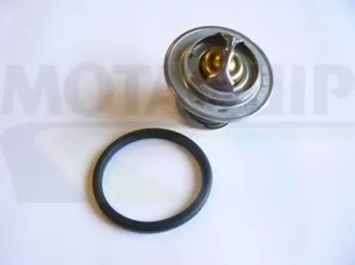 Термостат, охлаждающая жидкость MOTAQUIP купить