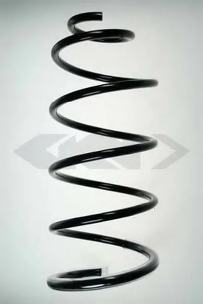 винтовая пружина SPIDAN купить