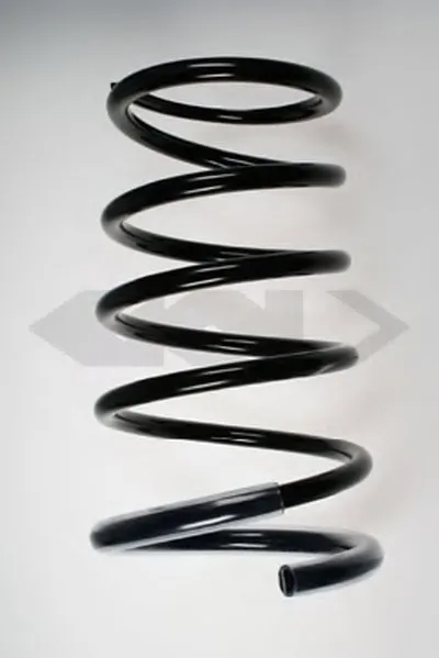 винтовая пружина SPIDAN купить