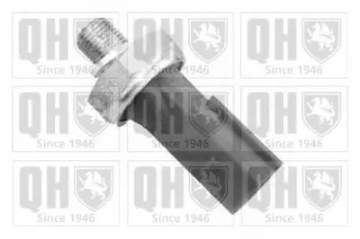 Выключатель с гидропроводом CI QUINTON HAZELL купить