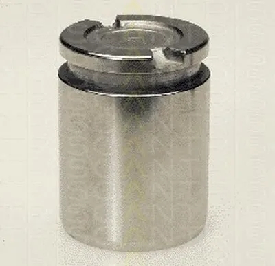 Поршень, корпус скобы тормоза TRISCAN купить