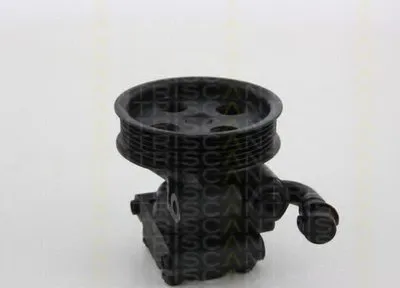 Гидравлический насос, рулевое управление TRISCAN купить