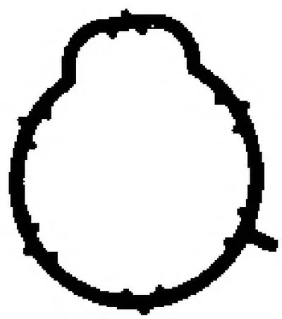 Прокладка, впускной коллектор AJUSA купить