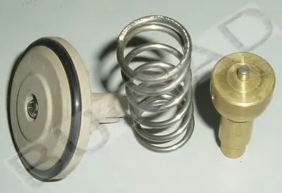 Термостат, охлаждающая жидкость BUGIAD купить