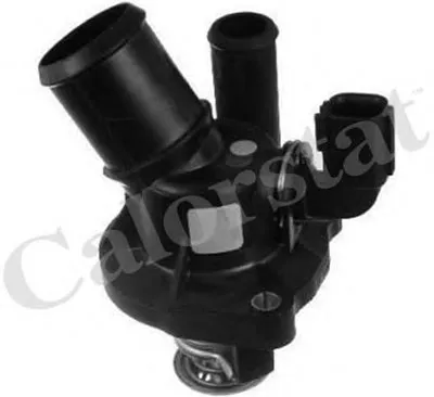 Термостат, охлаждающая жидкость CALORSTAT by Vernet купить