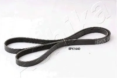 V-Ribbed Belts ASHIKA купить