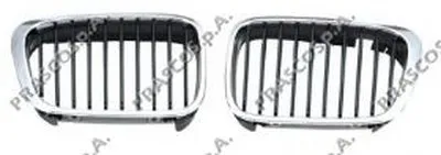 Решетка радиатора PRASCO купить