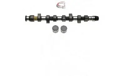 Комплект распредвала CAMPRO купить