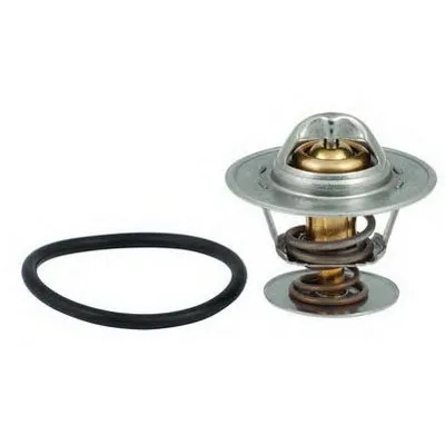 Термостат, охлаждающая жидкость FISPA купить