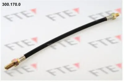 Тормозной шланг FTE купить