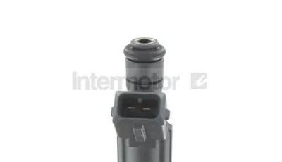 Распылитель Intermotor STANDARD купить