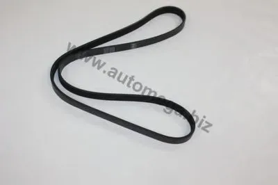 V-Ribbed Belts AutoMega Premium AUTOMEGA купить