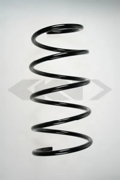 винтовая пружина SPIDAN купить