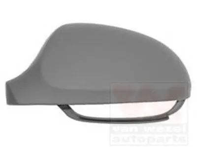 Покрытие, внешнее зеркало VAN WEZEL купить