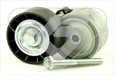 Натяжной ролик, поликлиновой  ремень HUTCHINSON купить