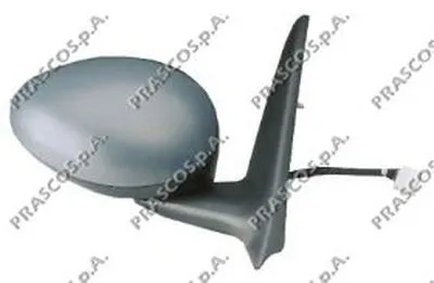 Наружное зеркало PRASCO купить