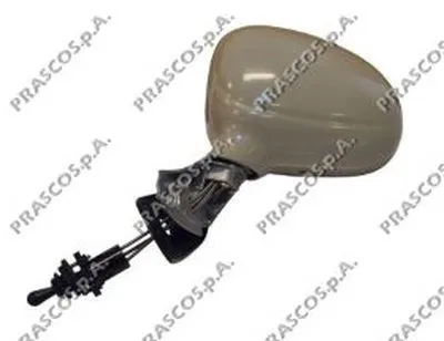 Наружное зеркало PRASCO купить