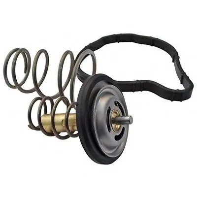 Термостат, охлаждающая жидкость FISPA купить