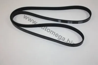 V-Ribbed Belts AutoMega Premium AUTOMEGA купить