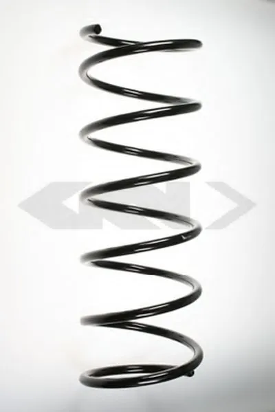 винтовая пружина SPIDAN купить