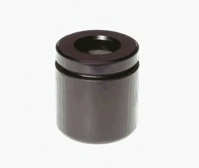 Поршень, корпус скобы тормоза BUDWEG CALIPER купить