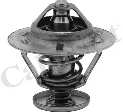 Термостат, охлаждающая жидкость CALORSTAT by Vernet купить