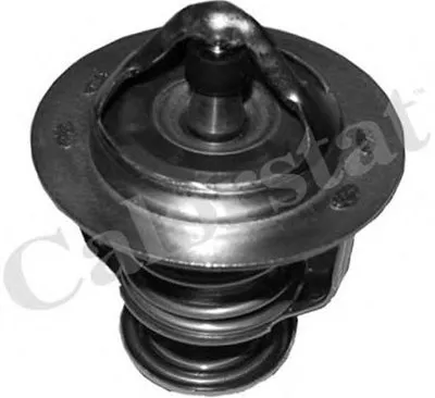 Термостат, охлаждающая жидкость CALORSTAT by Vernet купить