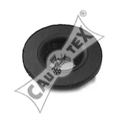 Подвеска, радиатор CAUTEX купить