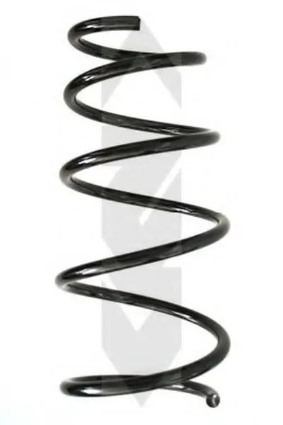 винтовая пружина SPIDAN купить