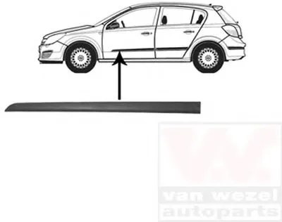 Облицовка / защитная накладка, дверь VAN WEZEL купить